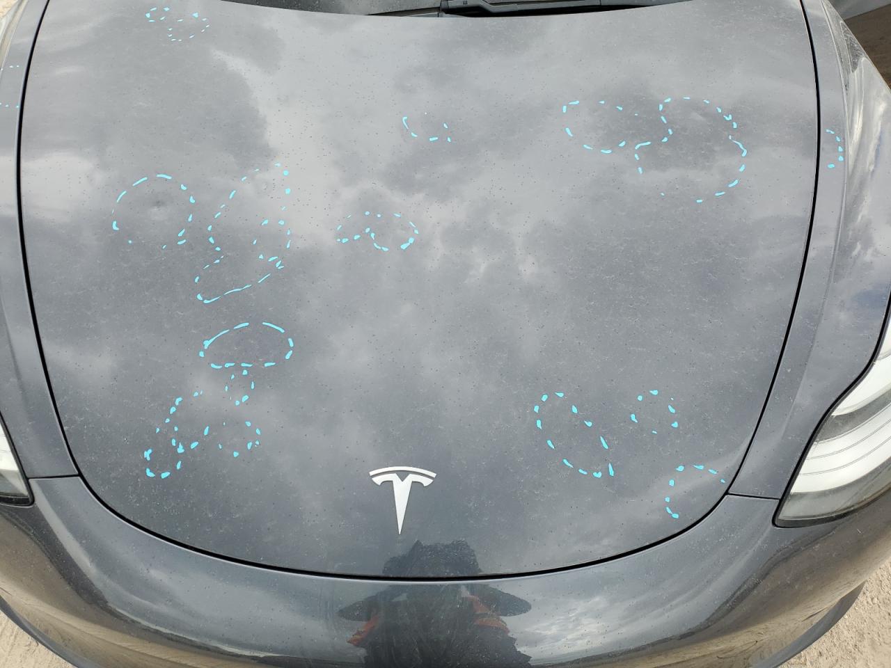 Tesla Model 3 Image 8