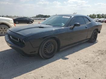  Salvage Dodge Challenger