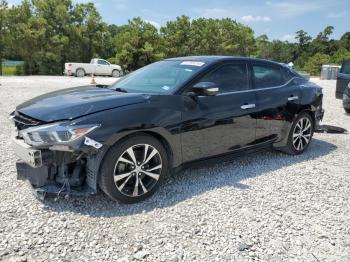  Salvage Nissan Maxima