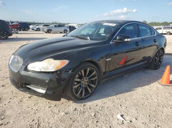  Salvage Jaguar XF