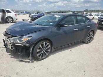  Salvage Nissan Maxima