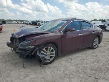  Salvage Nissan Maxima