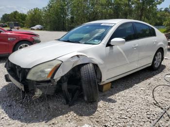  Salvage Nissan Maxima