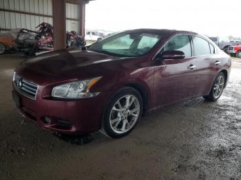  Salvage Nissan Maxima