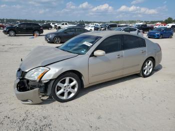  Salvage Nissan Maxima