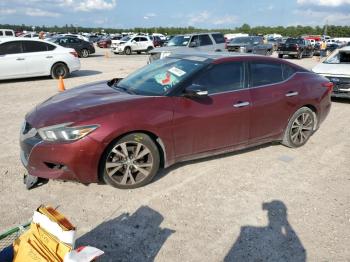  Salvage Nissan Maxima