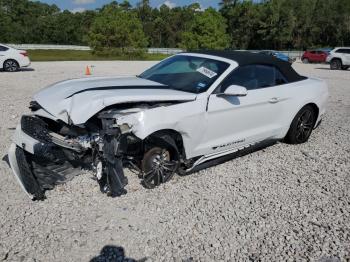  Salvage Ford Mustang