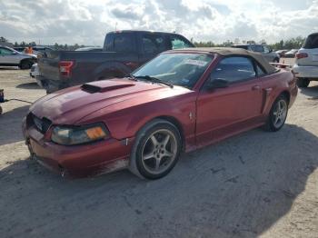  Salvage Ford Mustang