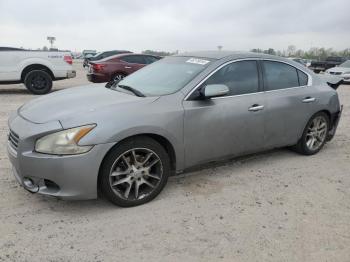  Salvage Nissan Maxima