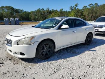  Salvage Nissan Maxima