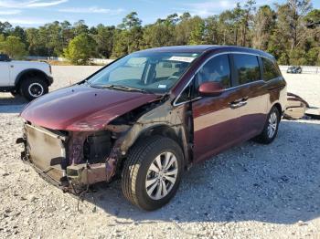  Salvage Honda Odyssey