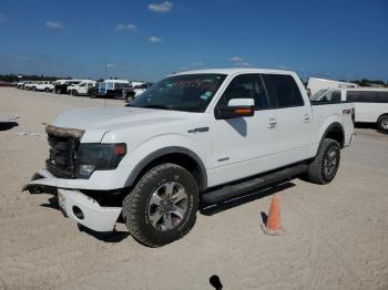  Salvage Ford F-150