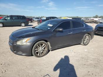  Salvage Nissan Maxima