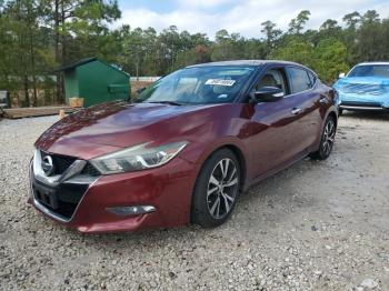  Salvage Nissan Maxima