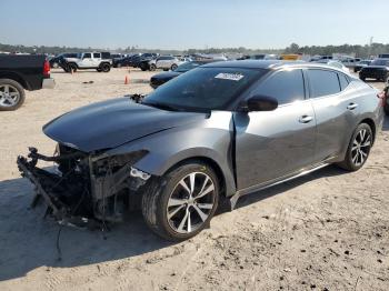  Salvage Nissan Maxima