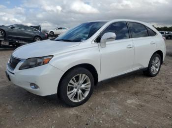  Salvage Lexus RX