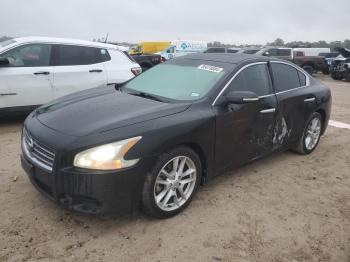  Salvage Nissan Maxima