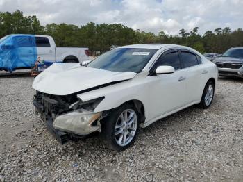  Salvage Nissan Maxima