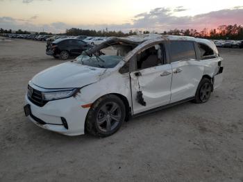  Salvage Honda Odyssey