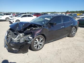  Salvage Nissan Maxima