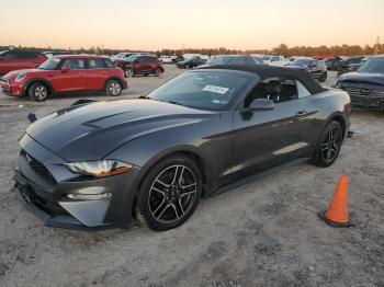  Salvage Ford Mustang