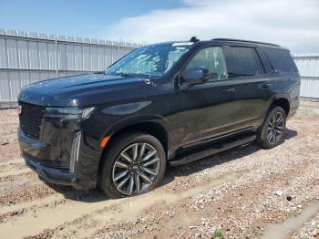  Salvage Cadillac Escalade