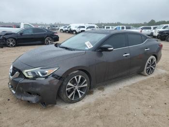  Salvage Nissan Maxima