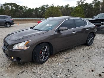  Salvage Nissan Maxima