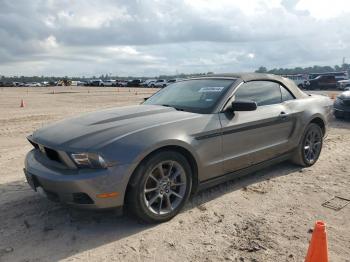  Salvage Ford Mustang