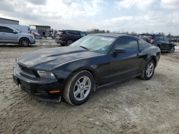  Salvage Ford Mustang