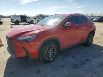  Salvage Lexus NX