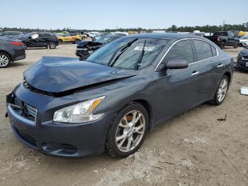  Salvage Nissan Maxima