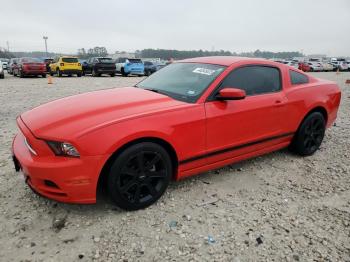  Salvage Ford Mustang