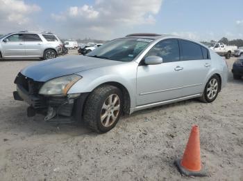  Salvage Nissan Maxima