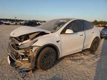  Salvage Tesla Model Y