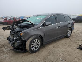  Salvage Honda Odyssey