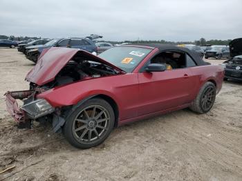  Salvage Ford Mustang