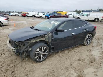  Salvage Nissan Maxima