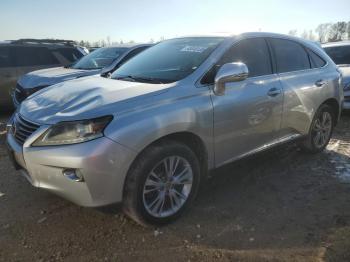  Salvage Lexus RX