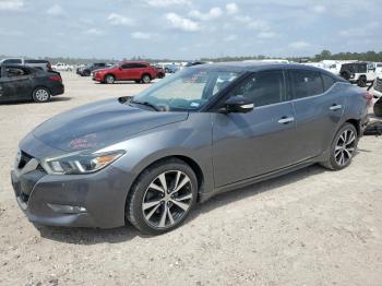  Salvage Nissan Maxima