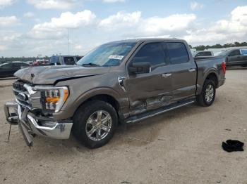  Salvage Ford F-150