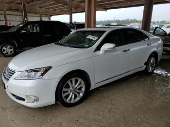  Salvage Lexus Es