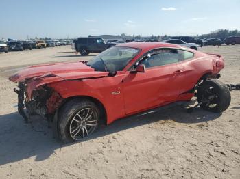  Salvage Ford Mustang