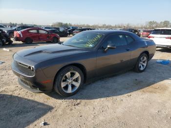  Salvage Dodge Challenger