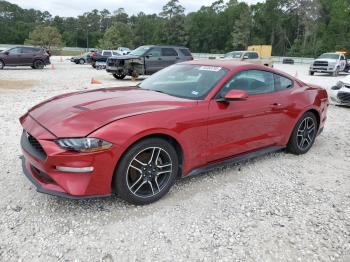  Salvage Ford Mustang