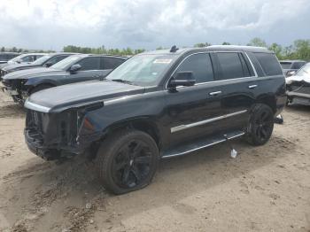  Salvage Cadillac Escalade