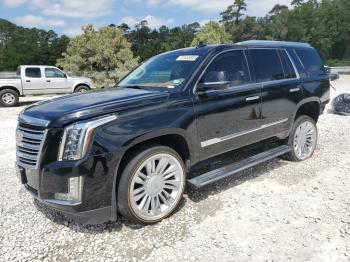  Salvage Cadillac Escalade
