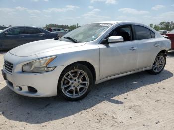  Salvage Nissan Maxima
