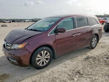  Salvage Honda Odyssey