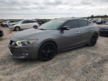  Salvage Nissan Maxima